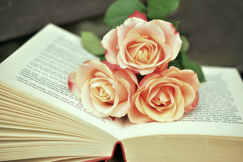 Humanism and Education